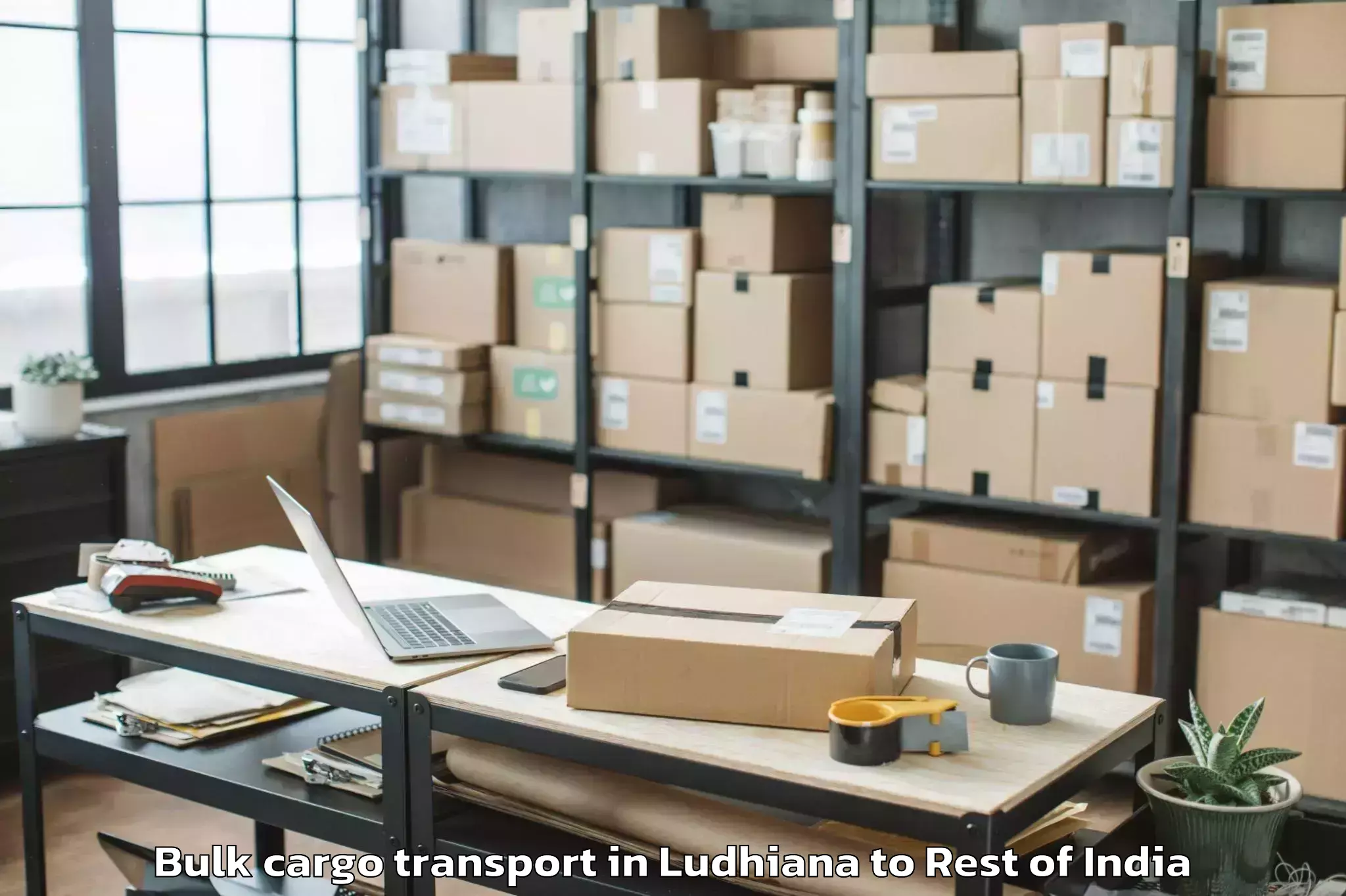 Professional Ludhiana to Damhal Hanjipora Bulk Cargo Transport